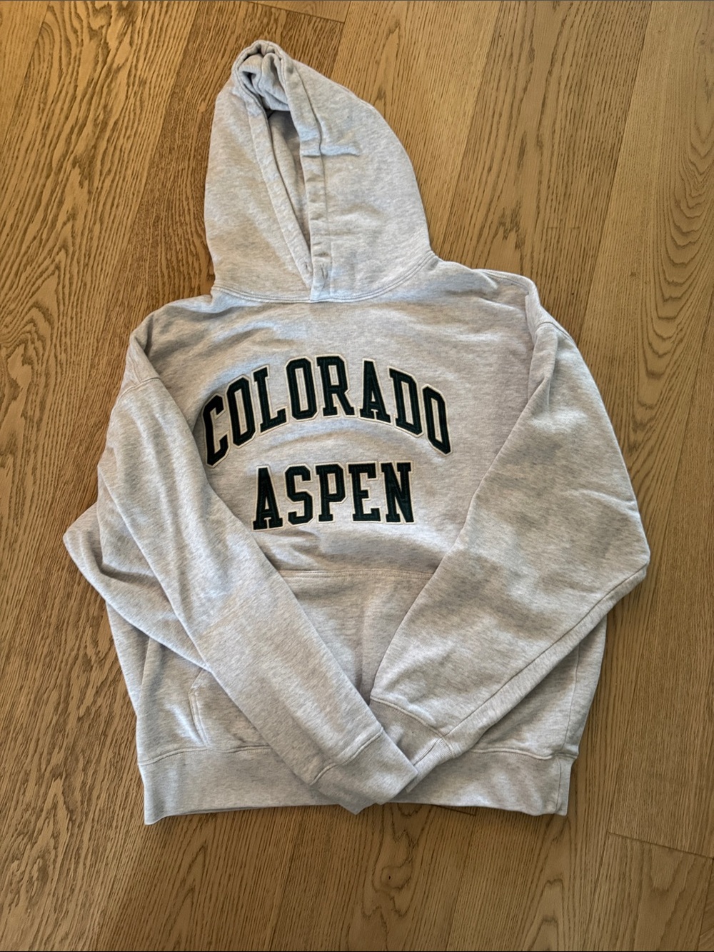 Brandy Melville Colorado Aspen Hooded Sweatshirt - Light Gray